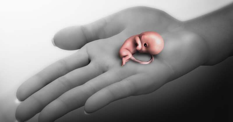 गर्भपात क्या है? गर्भावस्था के दौरान गर्भपात के लक्षण