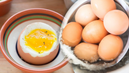 कम उबले अंडे के क्या फायदे हैं? अगर आप दिन में दो उबले अंडे खाते हैं ...