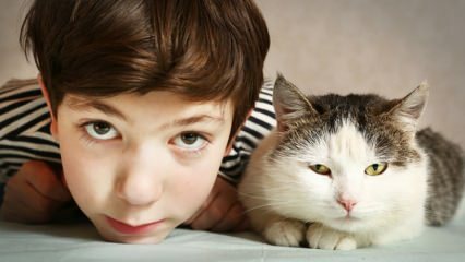 बच्चों पर पालतू जानवरों का क्या प्रभाव है?