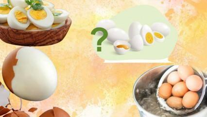उबले अंडे की डाइट! क्या अंडा आपको भरा रखता है? एक हफ्ते में 12 किलो 