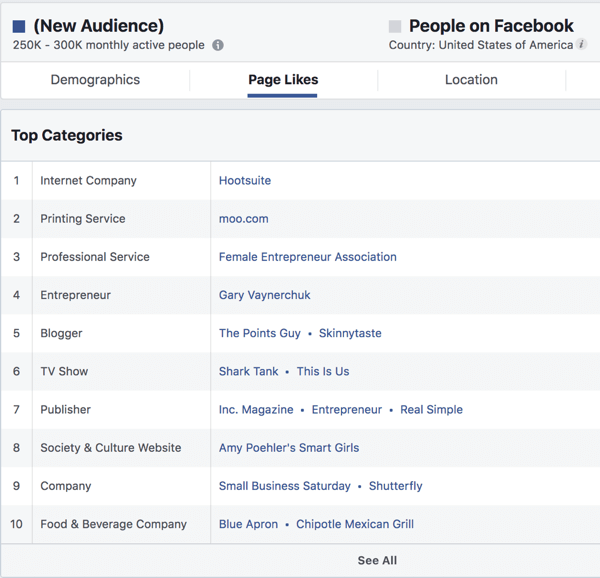 फेसबुक विज्ञापन प्रबंधक में रुचि आधारित दर्शकों के लिए पेज पसंद करता है।