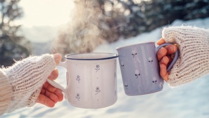 एंडर सारा से स्वादिष्ट कमजोर सर्दियों की चाय नुस्खा! क्या सर्दियों की चाय कमजोर होती है, क्या फायदे हैं?