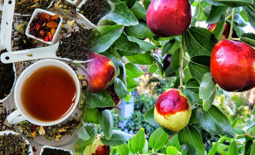 इब्न सिना द्वारा अनुशंसित बेर चाय के क्या फायदे हैं? बेर की चाय किसके लिए अच्छी है?