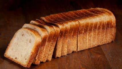 सबसे आसान टोस्टेड ब्रेड कैसे बनाएं? घर पर टोस्टेड ब्रेड बनाने के टिप्स