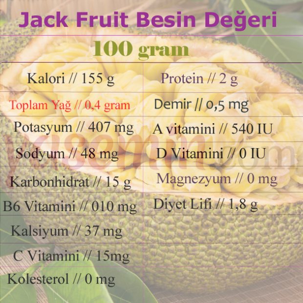 जैक फल क्या है? जैक फल के क्या लाभ हैं? जैक फल कैसे खाएं?