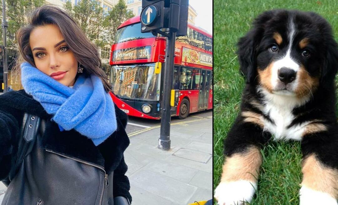 अभिनेत्री तुवना तुर्की ने अपने कुत्ते के लिए दे दी अपनी जान!