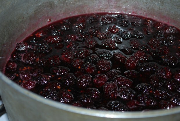 घर पर ब्लैकबेरी जैम कैसे बनाएं? सबसे आसान ब्लैकबेरी जाम नुस्खा