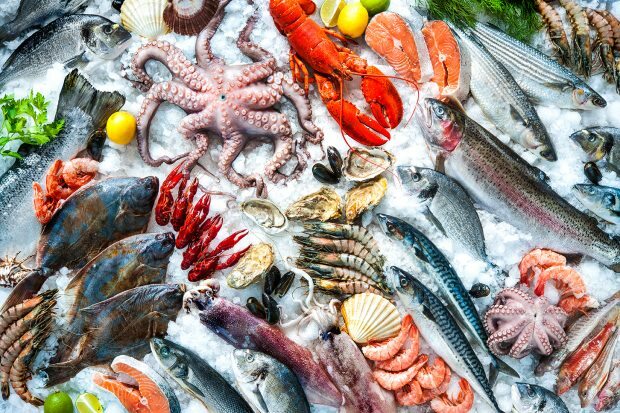 समुद्री भोजन और जमे हुए खाद्य पदार्थों के लिए बाहर देखो!