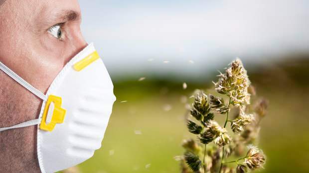 वसंत एलर्जी पराग, पालतू जानवरों, बढ़े हुए तापमान और धूल के कारण होती है