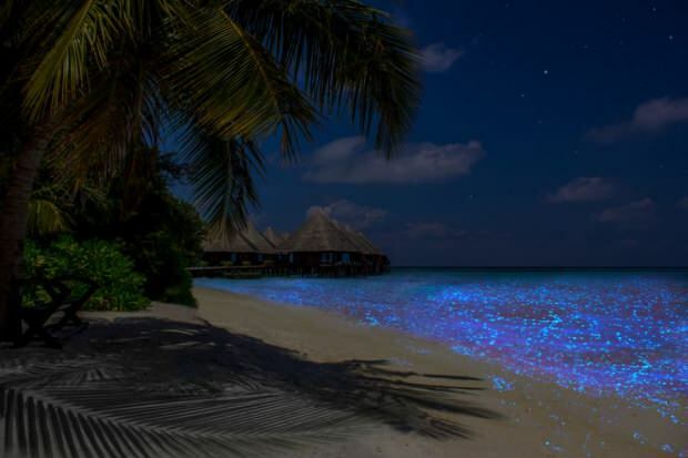मालदीव वाधू द्वीप
