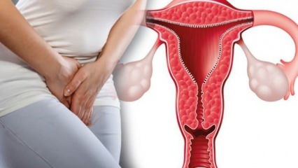 गर्भाशय की दीवार मोटा होना क्या है? गर्भावस्था के दौरान गर्भाशय की दीवार की मोटाई कितनी होनी चाहिए?