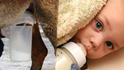 स्तन के दूध का सबसे निकटतम दूध कौन सा है? स्तन के दूध की कमी में बच्चे को क्या दिया जाता है?