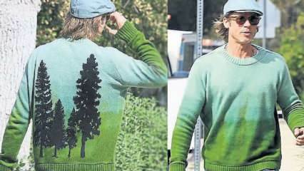 ऑस्कर विजेता अभिनेत्री ब्रैड पिट के पाइन के पेड़ के डिजाइन वाला स्वेटर ग्लैमरस था!