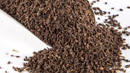 Uzerlik बीज के क्या लाभ हैं? ऑसेरलिक चाय के बीजों को कैसे बनाएं?
