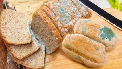 रमजान में ब्रेड की ढलाई को कैसे रोकें? ब्रेड को बासी और फफूंदी लगने से बचाने के उपाय