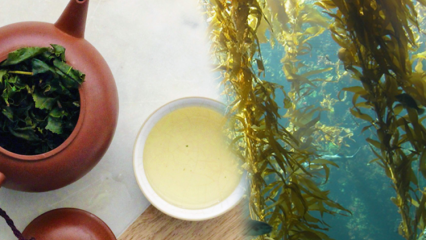 काई के लाभ क्या हैं? समुद्री शैवाल की चाय कैसे बनाएं और यह किसके लिए अच्छा है?