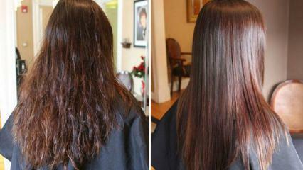 सूखे बालों का क्या करें? सूखे बालों को मॉइस्चराइज़ करने के सबसे प्राकृतिक तरीके