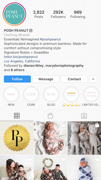 व्यवसाय के लिए अनुकूलित Instagram बायो का उदाहरण