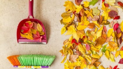 शरद ऋतु की सफाई के लिए व्यावहारिक तरीके