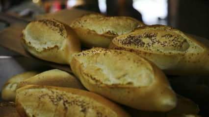 बासी रोटी का मूल्यांकन कैसे किया जाता है? बासी रोटी से बनी रेसिपी