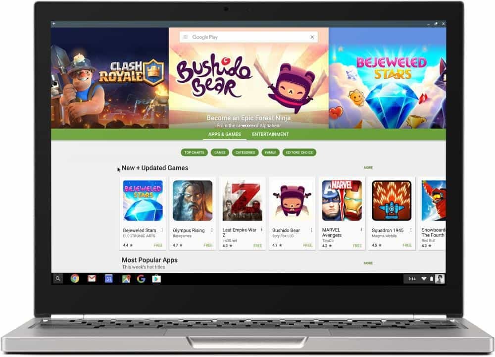 Play Store Chromebook