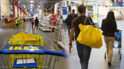 सजावटी उत्पाद जिन्हें आप IKEA से अपने घरों के लिए खरीद सकते हैं