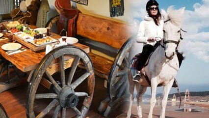 इस्तांबुल में घोड़े की सवारी कहाँ है? घुड़सवारी के लिए घोड़े के खेत का रास्ता