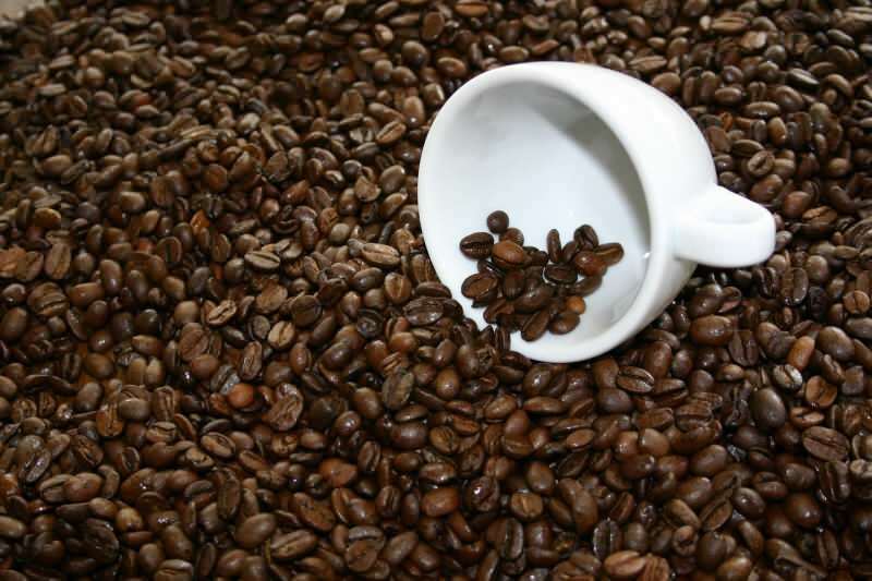 गुणवत्ता वाले कॉफी बीन्स कहाँ से खरीदें