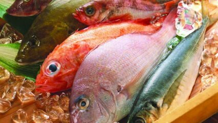 प्रतिरक्षा पर मछली के प्रभाव! मछली के क्या फायदे हैं? स्वास्थ्यप्रद मछली का सेवन कैसे करें?