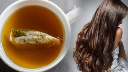 बालों के लिए ग्रीन टी के क्या फायदे हैं? हरी चाय त्वचा मास्क नुस्खा
