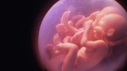 यदि परिवार में जुड़वा बच्चे हैं, तो क्या जुड़वां गर्भावस्था की संभावना बढ़ जाएगी? पीढ़ी के घोड़े?