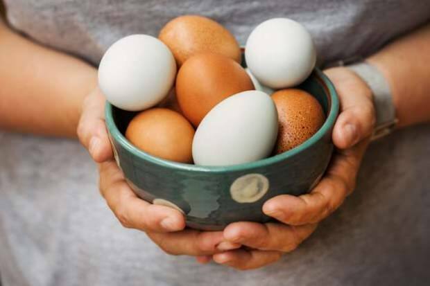 जैविक अंडा विश्लेषण कैसे किया जाता है?