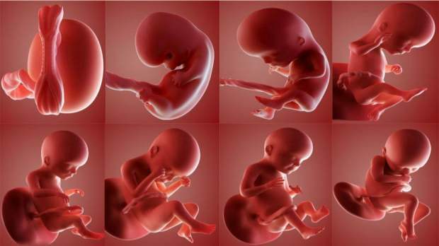 क्या उस बच्चे को नाम दिया गया है जिसकी गर्भ में मृत्यु हो गई है?