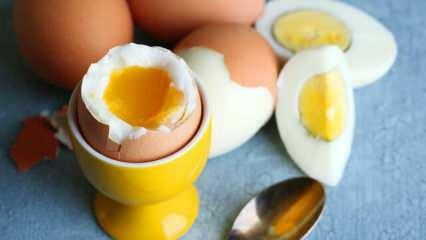 रोजाना सहर में 2 अंडे खाने से शरीर पर क्या प्रभाव पड़ता है?