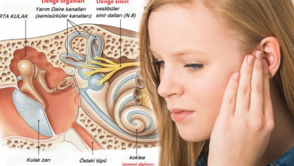 कान क्रिस्टल फिसलन का कारण बनता है? कान के क्रिस्टल खेलने के लक्षण