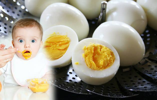 बच्चों को अंडे की जर्दी कैसे खिलाएं? अंडे की जर्दी बच्चों को कब दी जाती है?
