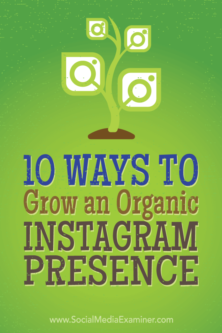 10 रणनीति के शीर्ष विपणक के सुझावों ने व्यवस्थित रूप से अधिक Instagram अनुयायियों को प्राप्त करने के लिए उपयोग किया है।