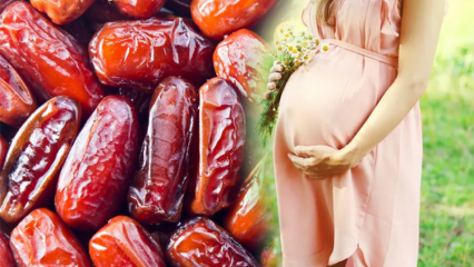 पाम शुगर क्या है? गर्भावस्था के दौरान खजूर खाने के फायदे और पाम शुगर के सेवन ...