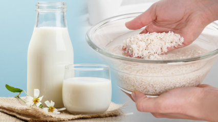 वसा जलने वाले चावल का दूध कैसे तैयार करें? चावल के दूध के साथ स्लिमिंग विधि