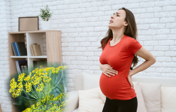 गर्भावस्था में कम पीठ दर्द के लिए प्राकृतिक उपचार
