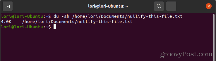 लिनक्स में फ़ाइल के आकार की जांच करने के लिए डु कमांड का उपयोग करना