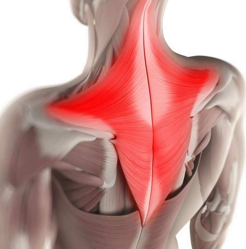 दिन के दौरान, अनजाने में, गर्दन के क्षेत्र की मांसपेशियों को गलत बैठे स्थिति में खींचा जा सकता है। 