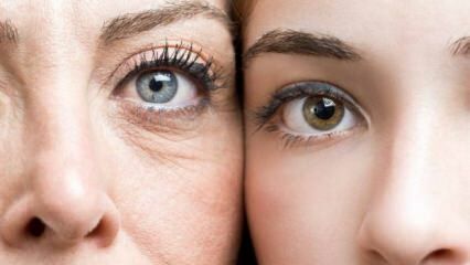 विटामिन क्या हैं जो आंखों के स्वास्थ्य की रक्षा करते हैं? 