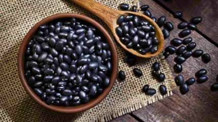 काली फलियों के क्या फायदे हैं? ब्लैक बीन्स किन बीमारियों के लिए अच्छा है? 