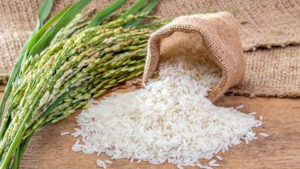 बाल्डो चावल क्या है? बाल्डो चावल की विशेषताएं क्या हैं? 2020 बाल्डो चावल की कीमतें