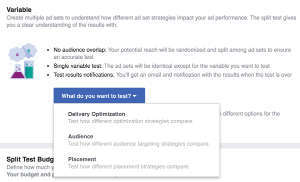 उस चर का चयन करें जिसे आप अपने फेसबुक विज्ञापन के साथ परीक्षण करना चाहते हैं।