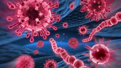 Mers वायरस क्या है? मेर्स वायरस के लक्षण क्या हैं? Mers वायरस कैसे फैलता है?