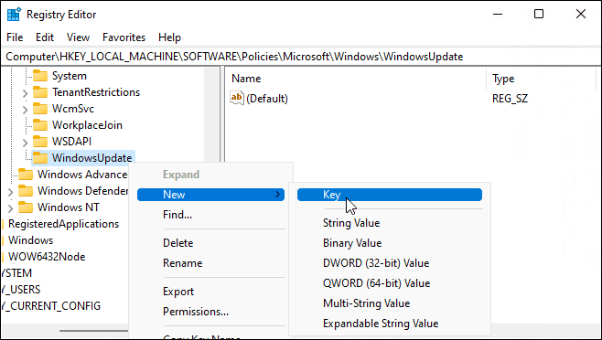 WindowsUpdate नई कुंजी
