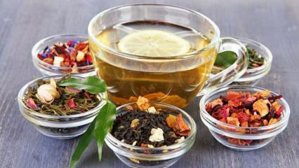 क्या चमेली की चाय वजन कम करती है?
