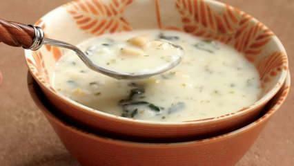 डोवगा सूप क्या है और डोवगा सूप कैसे बनाये? घर पर डोवगा सूप रेसिपी